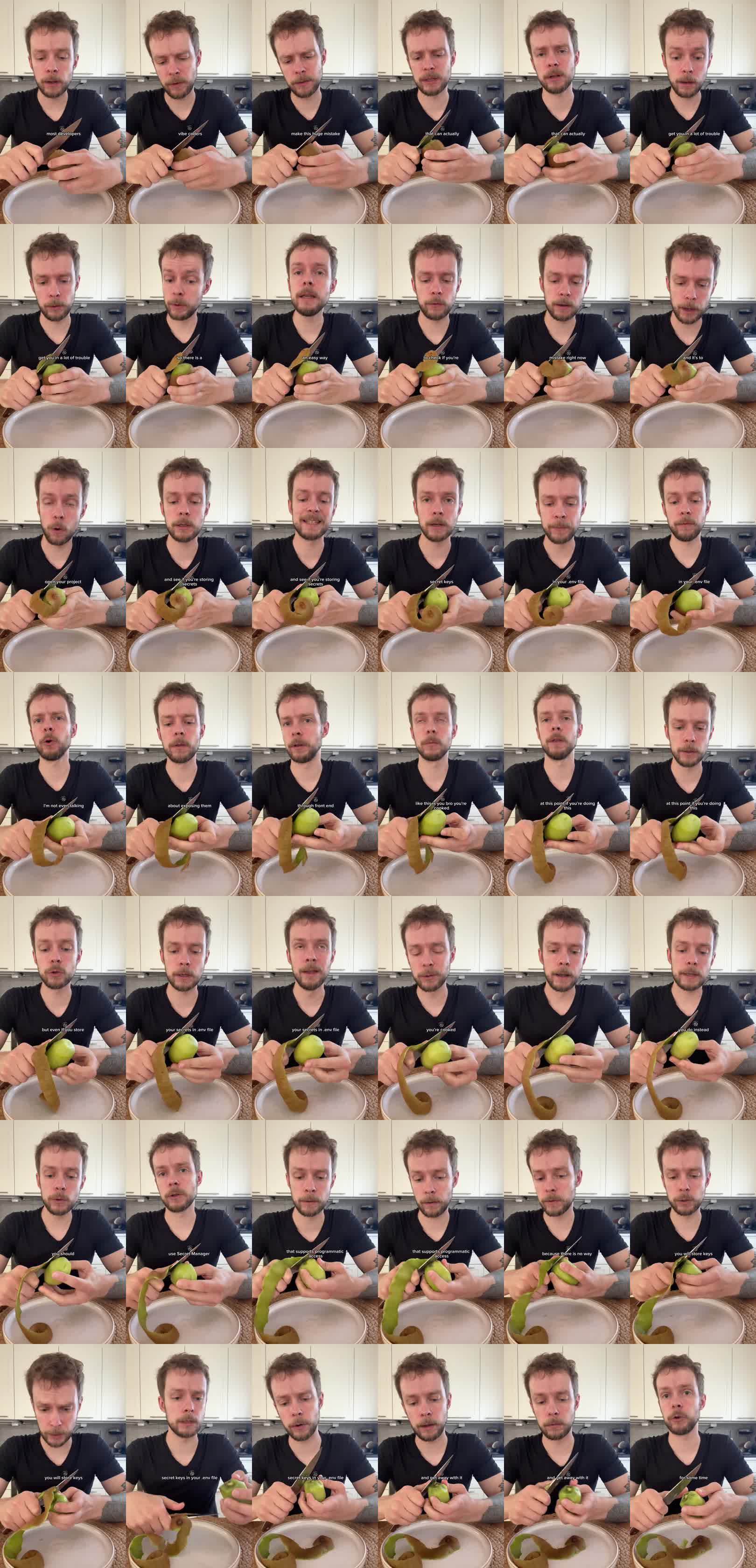 Contact sheet from the source video